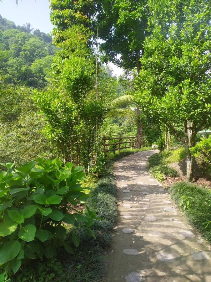 Odyssey Stays Rimbi Pelling Ngoại thất bức ảnh