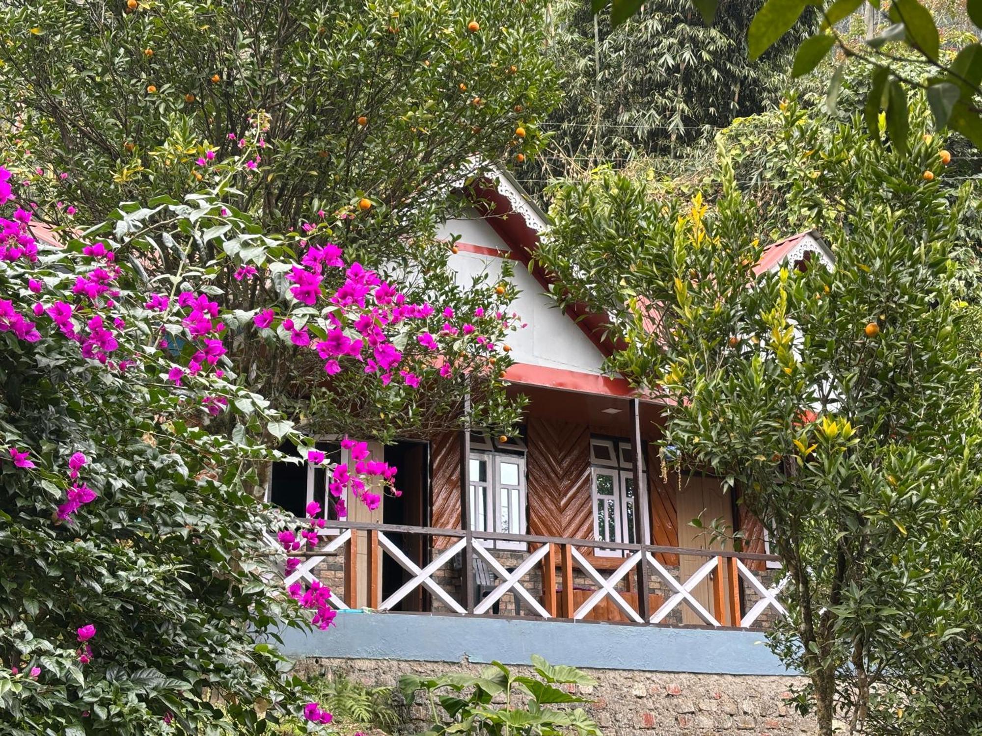 Odyssey Stays Rimbi Pelling Ngoại thất bức ảnh