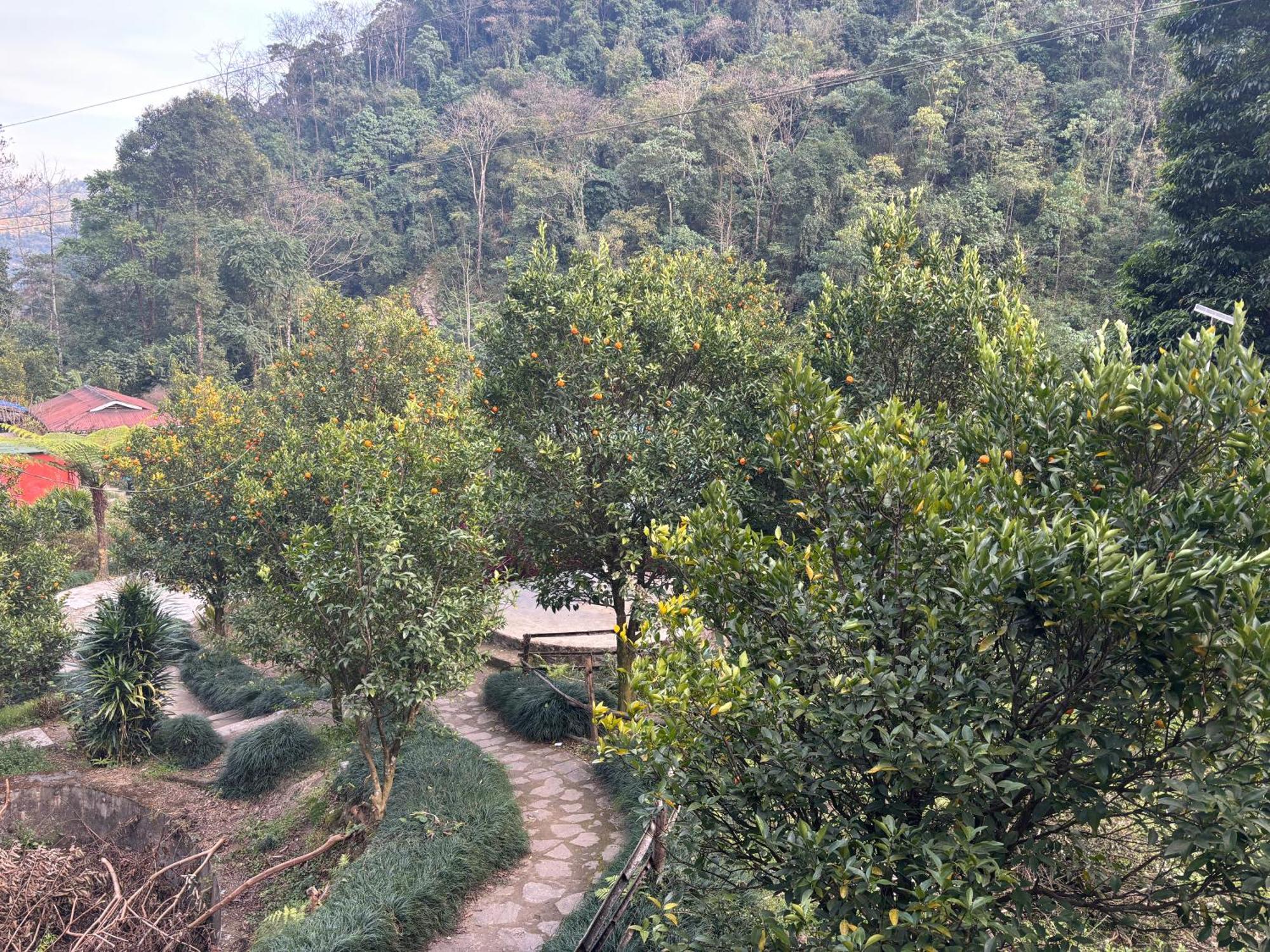 Odyssey Stays Rimbi Pelling Ngoại thất bức ảnh